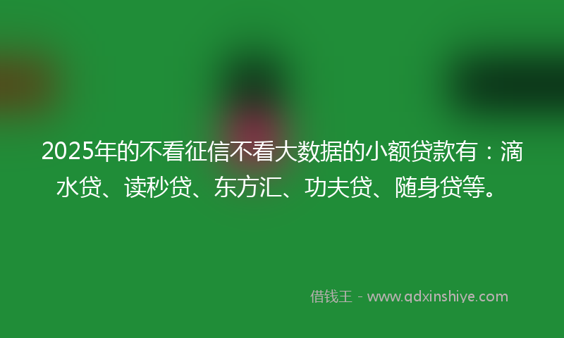2025年的不看征信不看大数据的小额贷款有：滴水贷、读秒贷、东方汇、功夫贷、随身贷等。