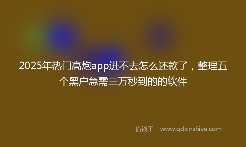 2025年热门高炮app进不去怎么还款了，整理五个黑户急需三万秒到的的软件