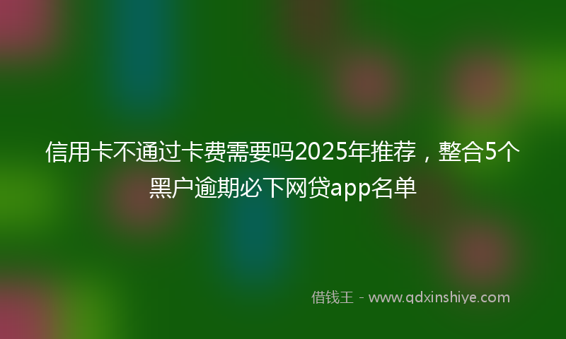 信用卡不通过卡费需要吗2025年推荐，整合5个黑户逾期必下网贷app名单