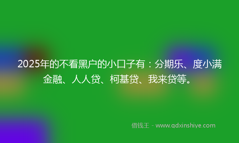 2025年的不看黑户的小口子有：分期乐、度小满金融、人人贷、柯基贷、我来贷等。