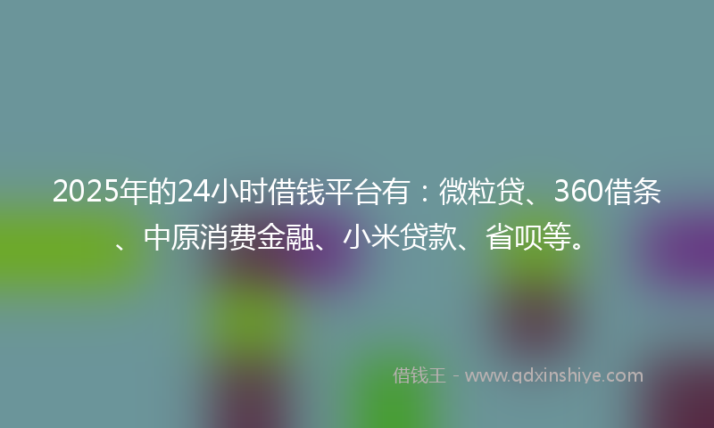 2025年的24小时借钱平台有：微粒贷、360借条、中原消费金融、小米贷款、省呗等。