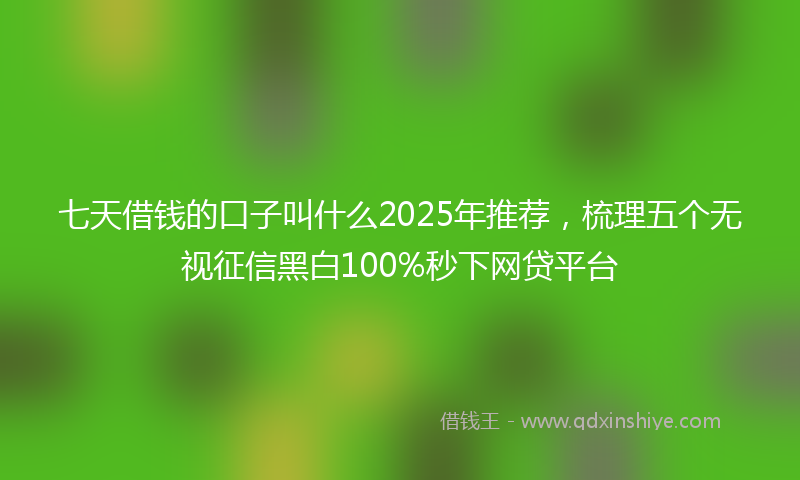 七天借钱的口子叫什么2025年推荐，梳理五个无视征信黑白100%秒下网贷平台
