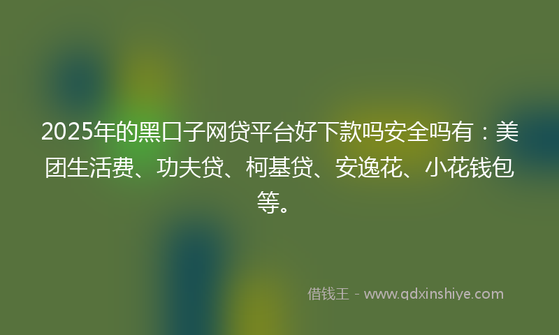 2025年的黑口子网贷平台好下款吗安全吗有：美团生活费、功夫贷、柯基贷、安逸花、小花钱包等。