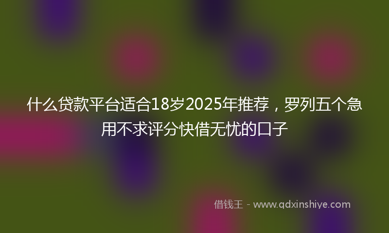 什么贷款平台适合18岁2025年推荐，罗列五个急用不求评分快借无忧的口子