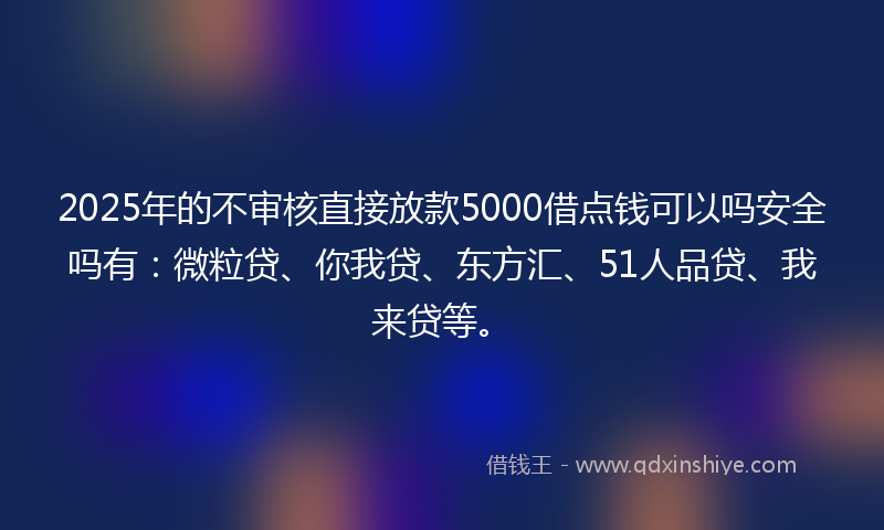 2025年的不审核直接放款5000借点钱可以吗安全吗有：微粒贷、你我贷、东方汇、51人品贷、我来贷等。