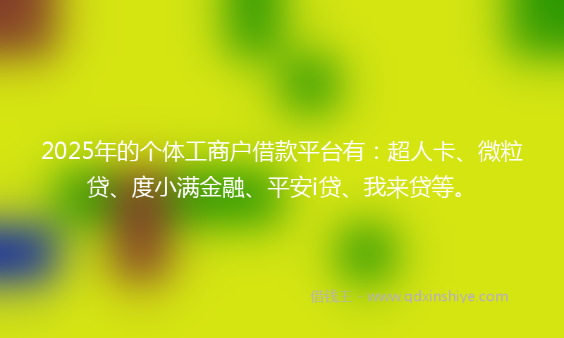 2025年的个体工商户借款平台有：超人卡、微粒贷、度小满金融、平安i贷、我来贷等。