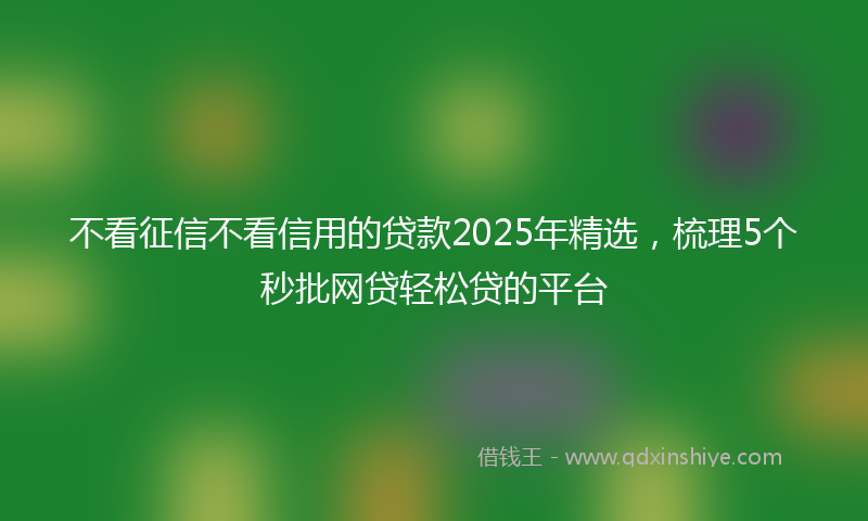 不看征信不看信用的贷款2025年精选，梳理5个秒批网贷轻松贷的平台