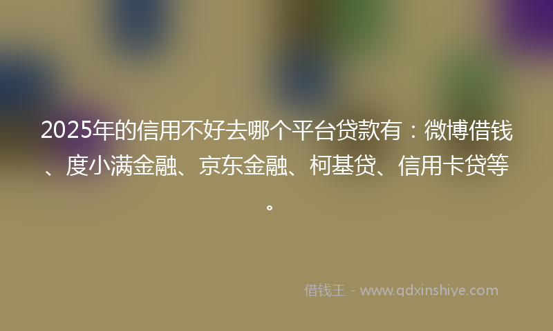 2025年的信用不好去哪个平台贷款有：微博借钱、度小满金融、京东金融、柯基贷、信用卡贷等。