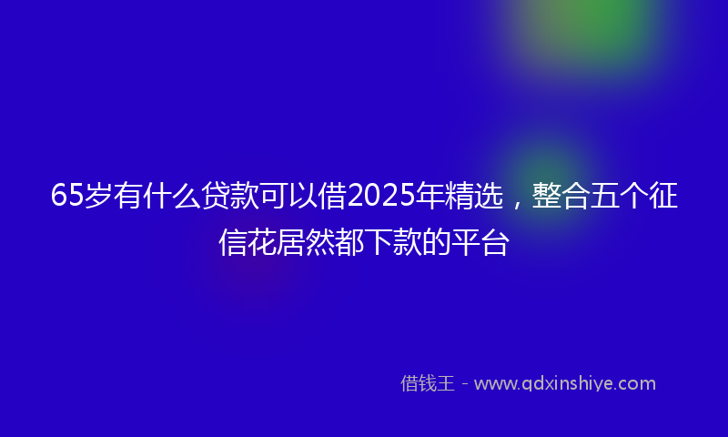 65岁有什么贷款可以借2025年精选，整合五个征信花居然都下款的平台