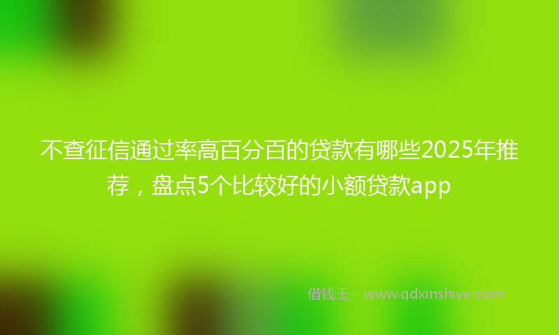 不查征信通过率高百分百的贷款有哪些2025年推荐，盘点5个比较好的小额贷款app