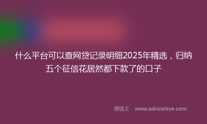 什么平台可以查网贷记录明细2025年精选，归纳五个征信花居然都下款了的口子