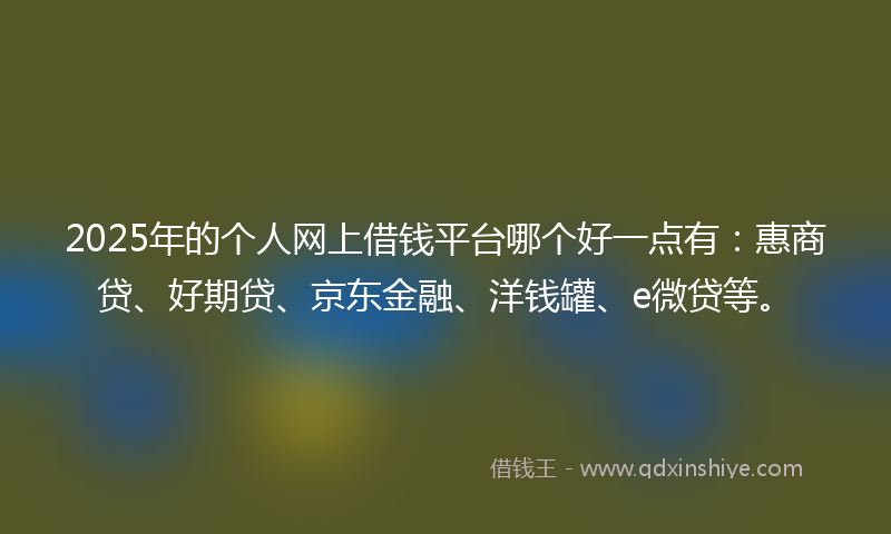 2025年的个人网上借钱平台哪个好一点有：惠商贷、好期贷、京东金融、洋钱罐、e微贷等。