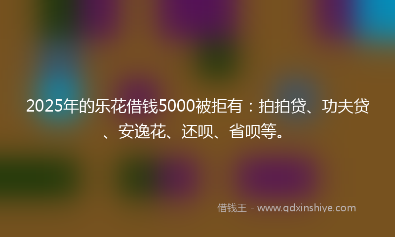2025年的乐花借钱5000被拒有：拍拍贷、功夫贷、安逸花、还呗、省呗等。