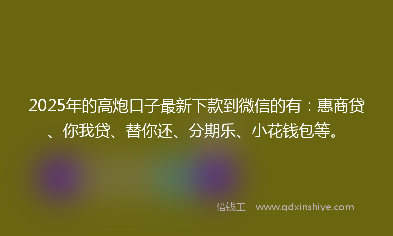 2025年的高炮口子最新下款到微信的有：惠商贷、你我贷、替你还、分期乐、小花钱包等。
