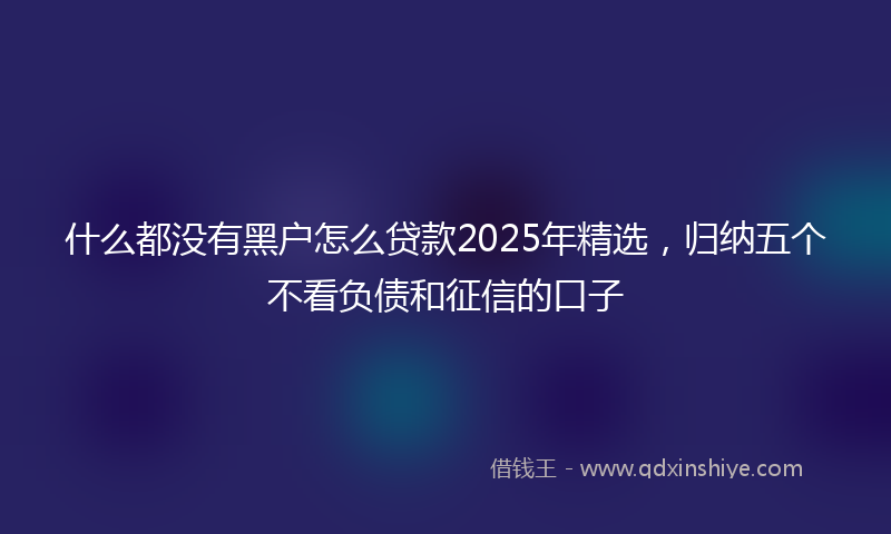 什么都没有黑户怎么贷款2025年精选，归纳五个不看负债和征信的口子