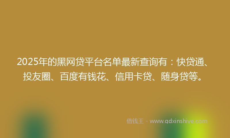 2025年的黑网贷平台名单最新查询有：快贷通、投友圈、百度有钱花、信用卡贷、随身贷等。
