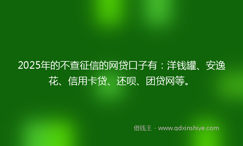2025年的不查征信的网贷口子有：洋钱罐、安逸花、信用卡贷、还呗、团贷网等。