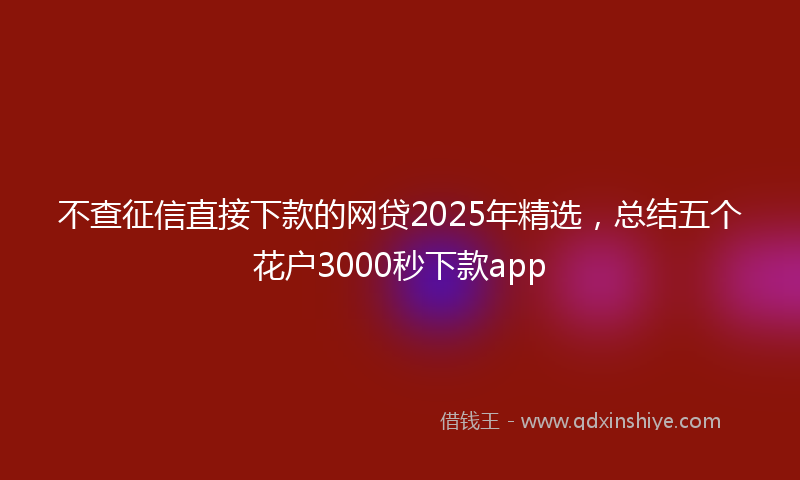 不查征信直接下款的网贷2025年精选，总结五个花户3000秒下款app