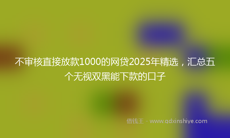 不审核直接放款1000的网贷2025年精选，汇总五个无视双黑能下款的口子