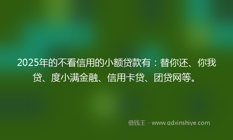 2025年的不看信用的小额贷款有：替你还、你我贷、度小满金融、信用卡贷、团贷网等。