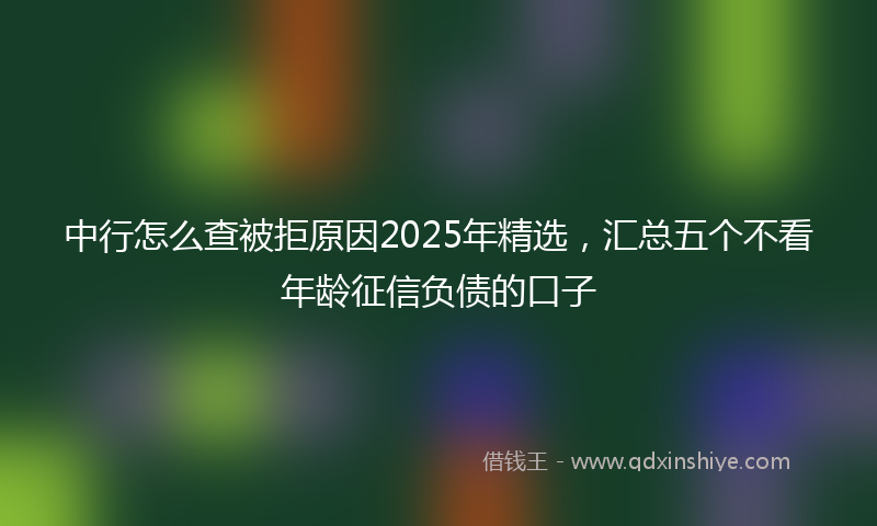 中行怎么查被拒原因2025年精选，汇总五个不看年龄征信负债的口子