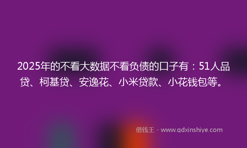 2025年的不看大数据不看负债的口子有：51人品贷、柯基贷、安逸花、小米贷款、小花钱包等。
