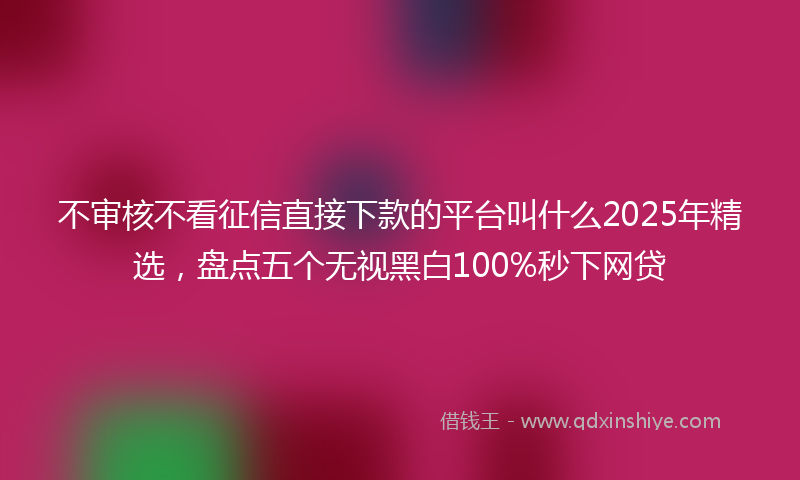 不审核不看征信直接下款的平台叫什么2025年精选，盘点五个无视黑白100%秒下网贷