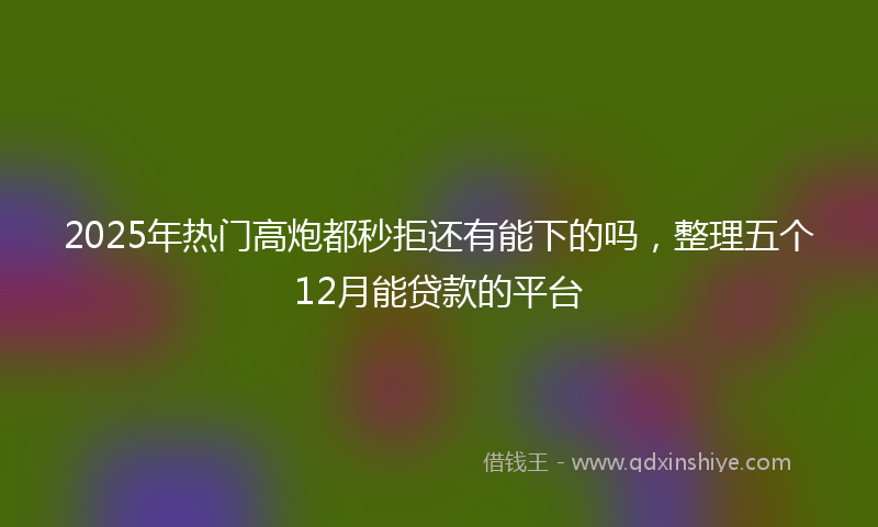 2025年热门高炮都秒拒还有能下的吗，整理五个12月能贷款的平台