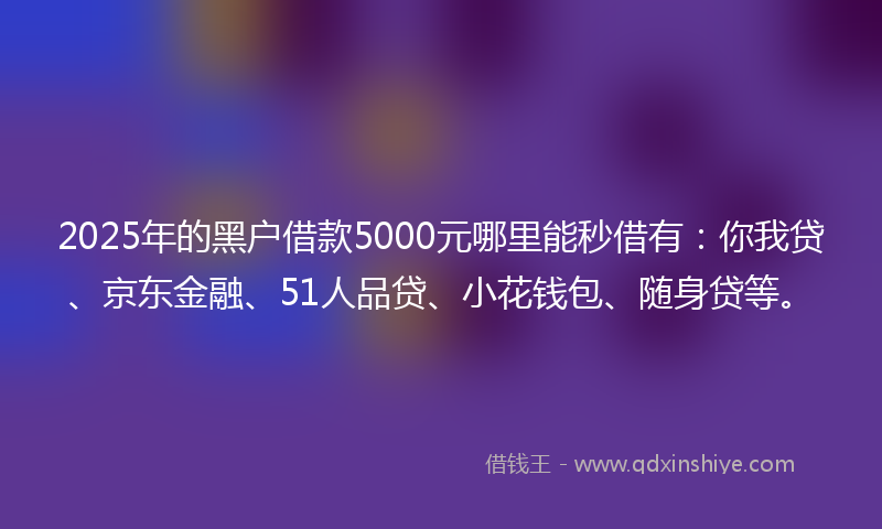 2025年的黑户借款5000元哪里能秒借有：你我贷、京东金融、51人品贷、小花钱包、随身贷等。