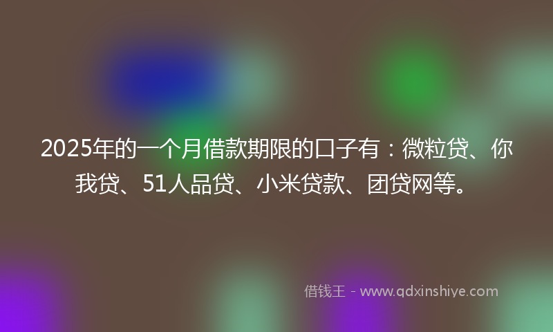2025年的一个月借款期限的口子有：微粒贷、你我贷、51人品贷、小米贷款、团贷网等。