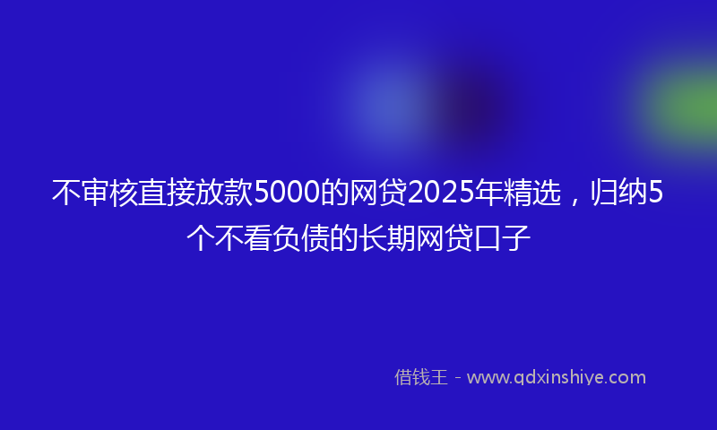 不审核直接放款5000的网贷2025年精选，归纳5个不看负债的长期网贷口子