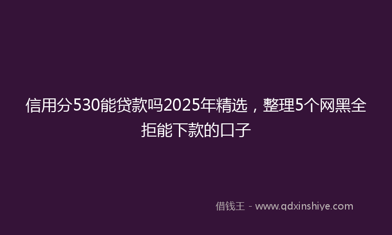 信用分530能贷款吗2025年精选，整理5个网黑全拒能下款的口子