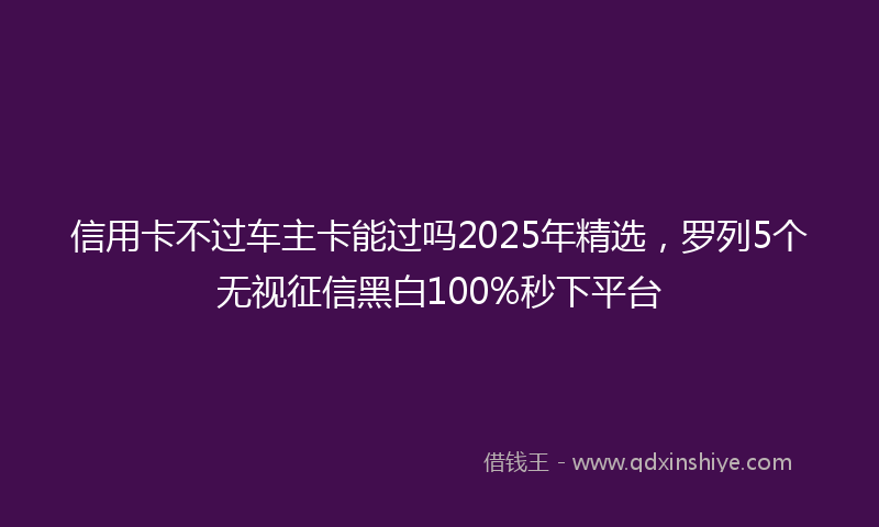 信用卡不过车主卡能过吗2025年精选，罗列5个无视征信黑白100%秒下平台