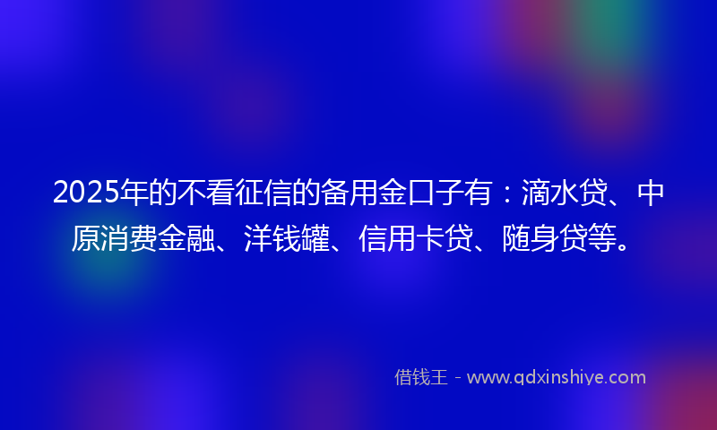 2025年的不看征信的备用金口子有：滴水贷、中原消费金融、洋钱罐、信用卡贷、随身贷等。