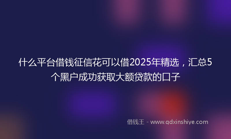 什么平台借钱征信花可以借2025年精选，汇总5个黑户成功获取大额贷款的口子