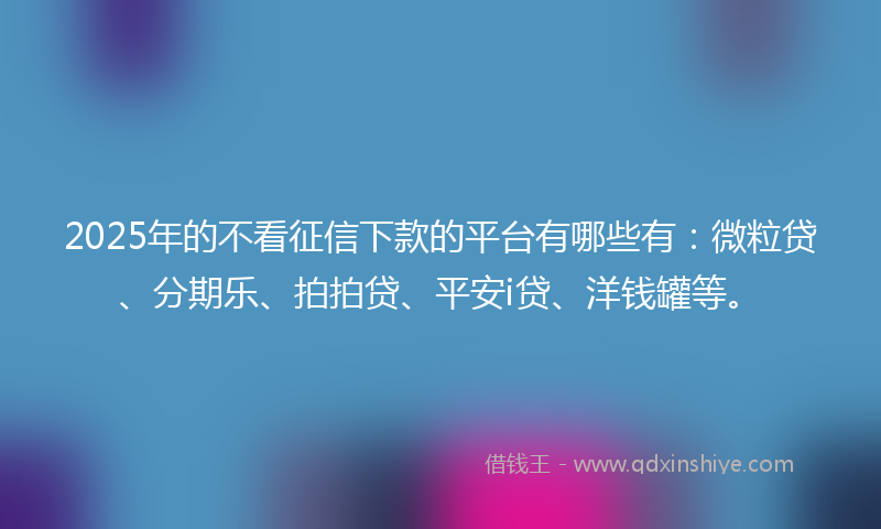 2025年的不看征信下款的平台有哪些有：微粒贷、分期乐、拍拍贷、平安i贷、洋钱罐等。