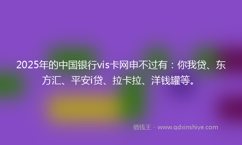 2025年的中国银行vis卡网申不过有：你我贷、东方汇、平安i贷、拉卡拉、洋钱罐等。