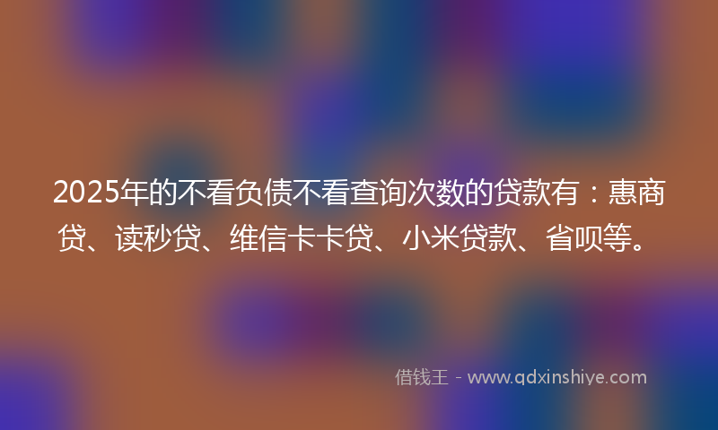 2025年的不看负债不看查询次数的贷款有：惠商贷、读秒贷、维信卡卡贷、小米贷款、省呗等。