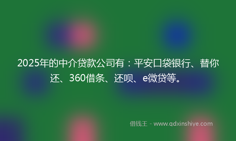 2025年的中介贷款公司有：平安口袋银行、替你还、360借条、还呗、e微贷等。