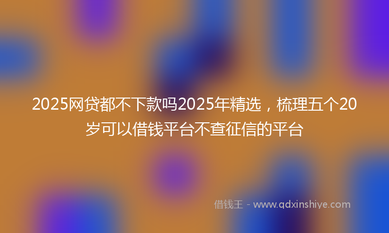 2025网贷都不下款吗2025年精选，梳理五个20岁可以借钱平台不查征信的平台