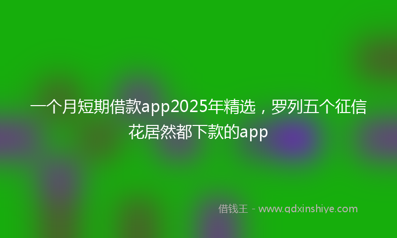 一个月短期借款app2025年精选，罗列五个征信花居然都下款的app