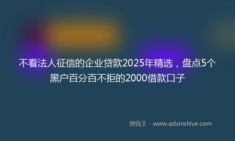 不看法人征信的企业贷款2025年精选，盘点5个黑户百分百不拒的2000借款口子