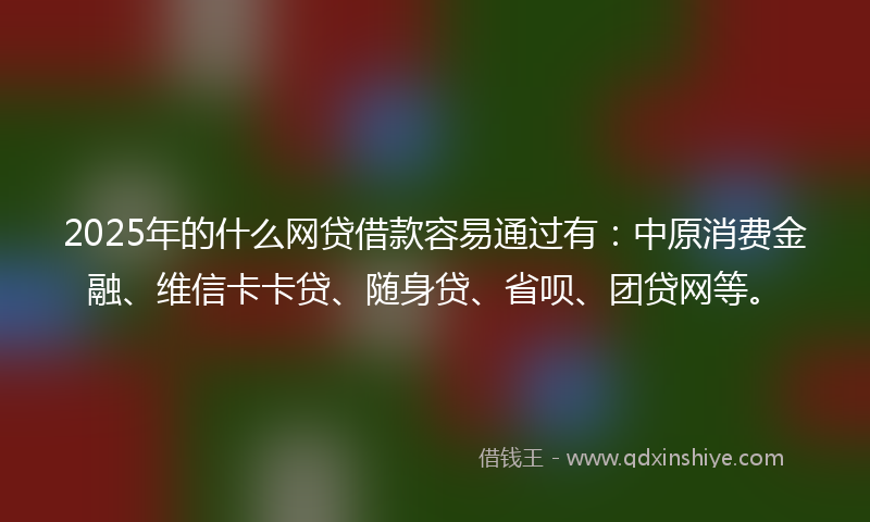 2025年的什么网贷借款容易通过有：中原消费金融、维信卡卡贷、随身贷、省呗、团贷网等。