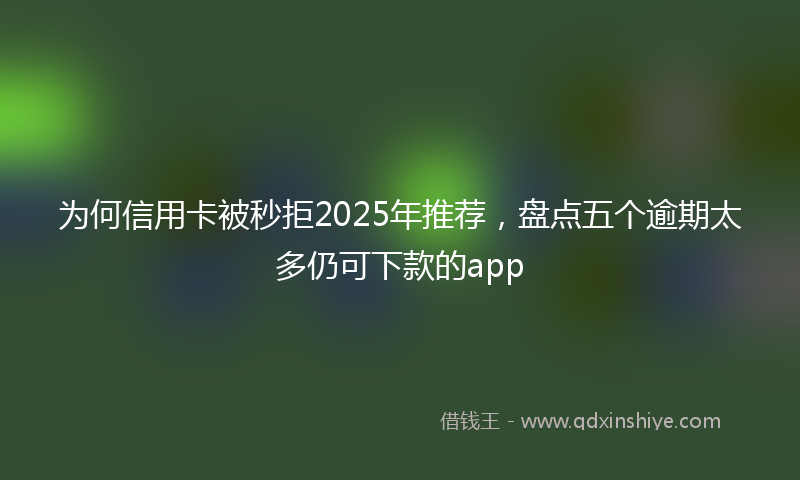 为何信用卡被秒拒2025年推荐，盘点五个逾期太多仍可下款的app