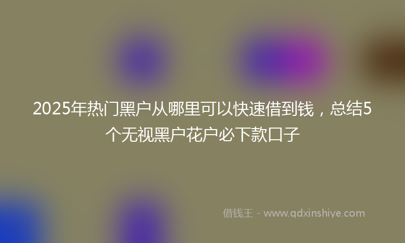 2025年热门黑户从哪里可以快速借到钱，总结5个无视黑户花户必下款口子