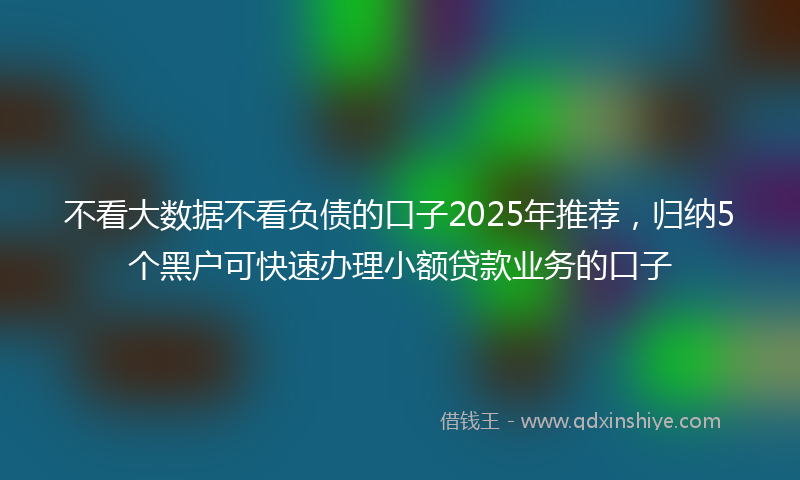 不看大数据不看负债的口子2025年推荐，归纳5个黑户可快速办理小额贷款业务的口子