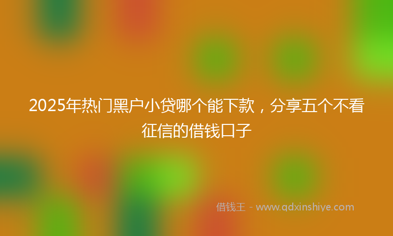 2025年热门黑户小贷哪个能下款，分享五个不看征信的借钱口子