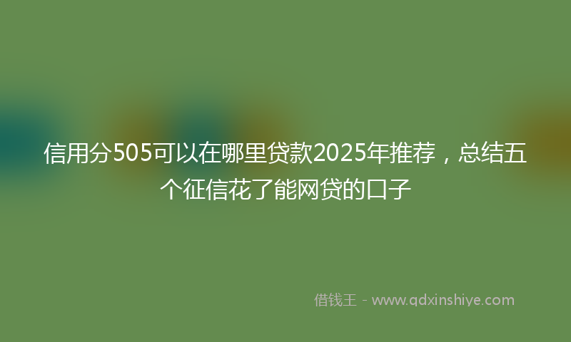 信用分505可以在哪里贷款2025年推荐，总结五个征信花了能网贷的口子