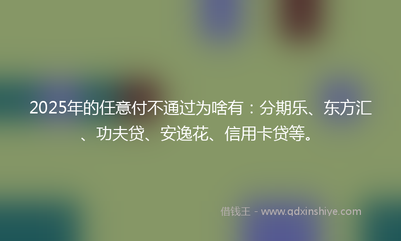 2025年的任意付不通过为啥有：分期乐、东方汇、功夫贷、安逸花、信用卡贷等。