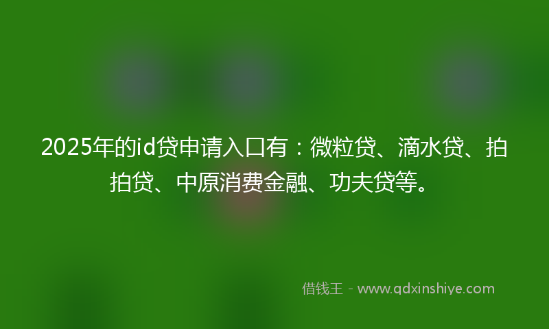 2025年的id贷申请入口有：微粒贷、滴水贷、拍拍贷、中原消费金融、功夫贷等。